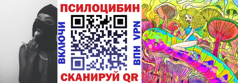 где найти   Северо-Курильск  Галлюциногенные грибы MAGIC MUSHROOMS 